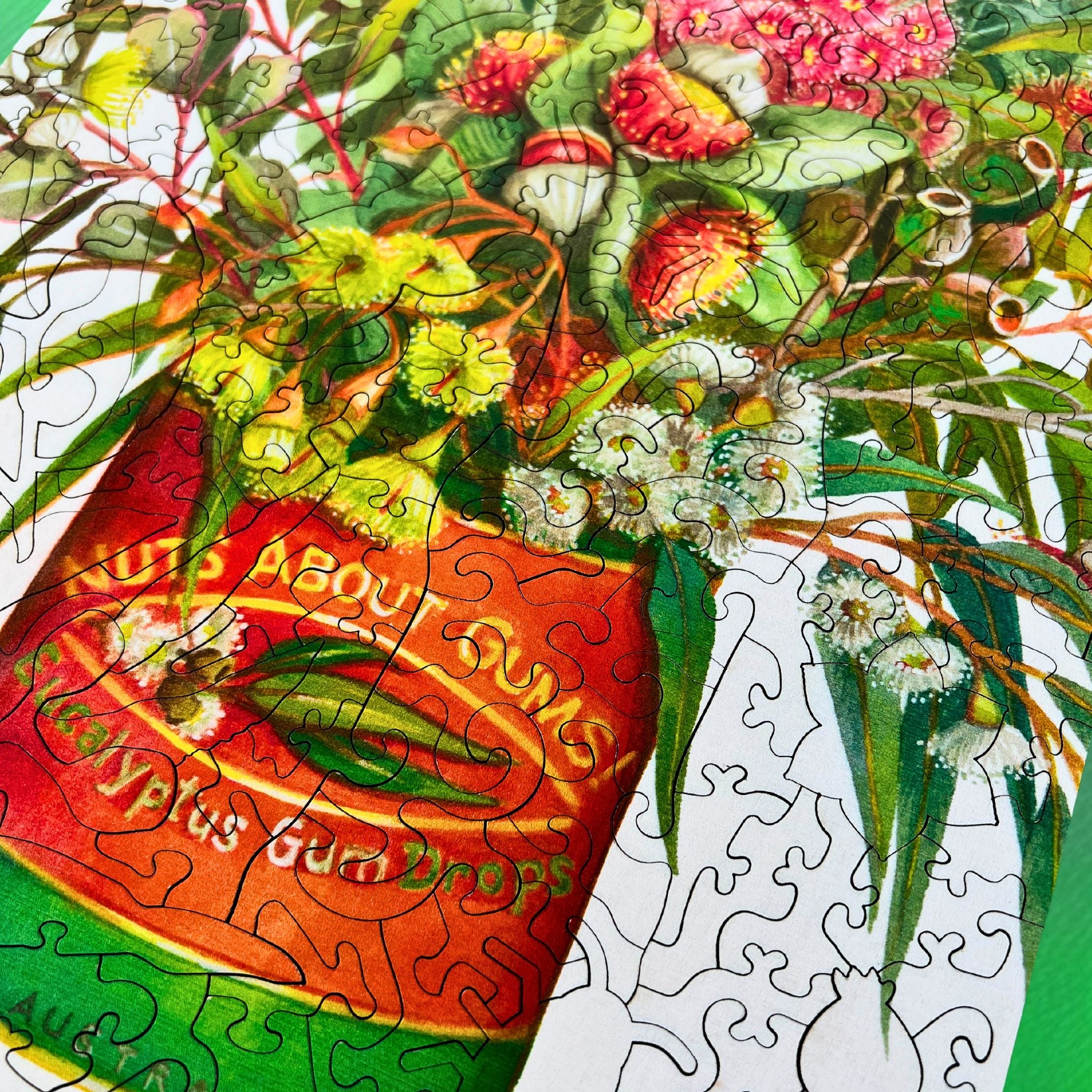 Wooden 276pc Jigsaw Puzzle  - Nuts about Gums - Debra Meier by Twigg Puzzles